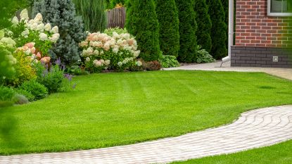 green lawn edged by a garden path and flower beds